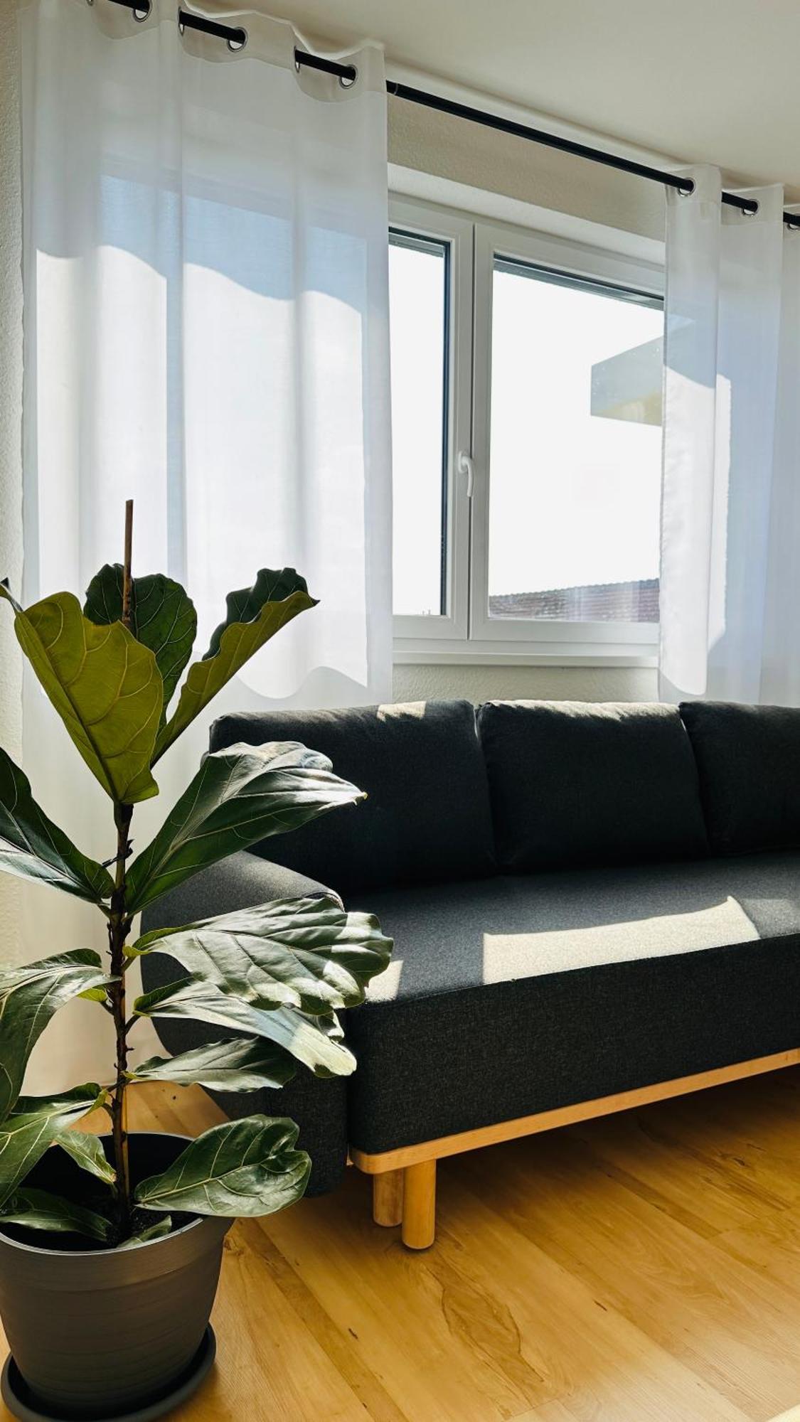 Amao-Sepia I 86Qm I King-Size Beds I Netflix I Privat Balcony I Free Parking I Near Europapark Daire Rheinhausen Dış mekan fotoğraf